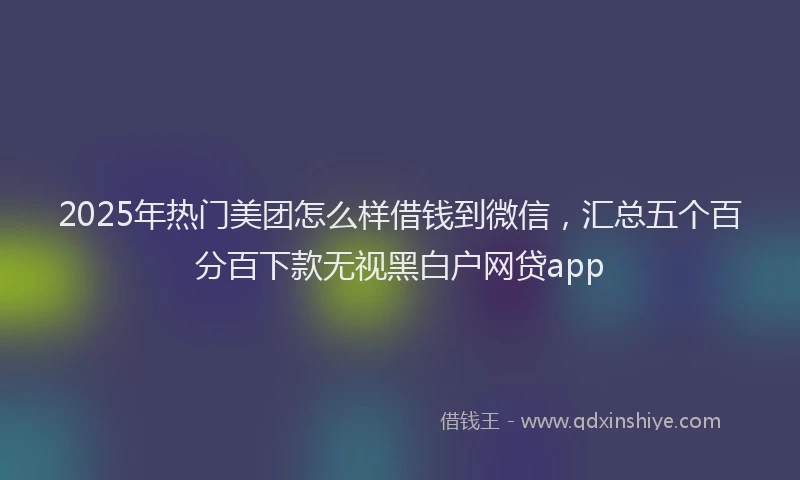 2025年热门美团怎么样借钱到微信，汇总五个百分百下款无视黑白户网贷app