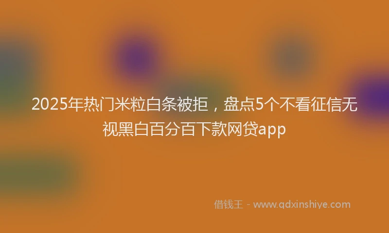 2025年热门米粒白条被拒，盘点5个不看征信无视黑白百分百下款网贷app
