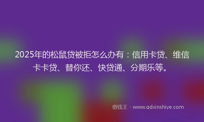 2025年的松鼠贷被拒怎么办有：信用卡贷、维信卡卡贷、替你还、快贷通、分期乐等。