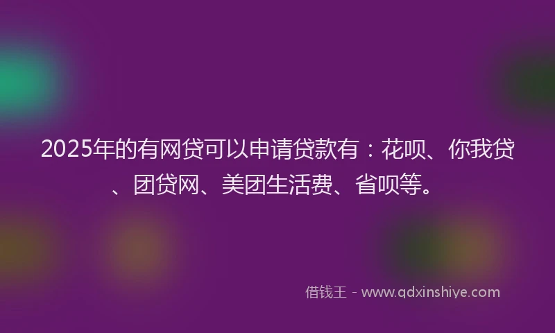 2025年的有网贷可以申请贷款有：花呗、你我贷、团贷网、美团生活费、省呗等。