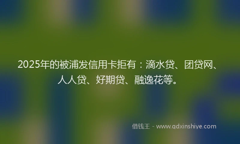 2025年的被浦发信用卡拒有：滴水贷、团贷网、人人贷、好期贷、融逸花等。