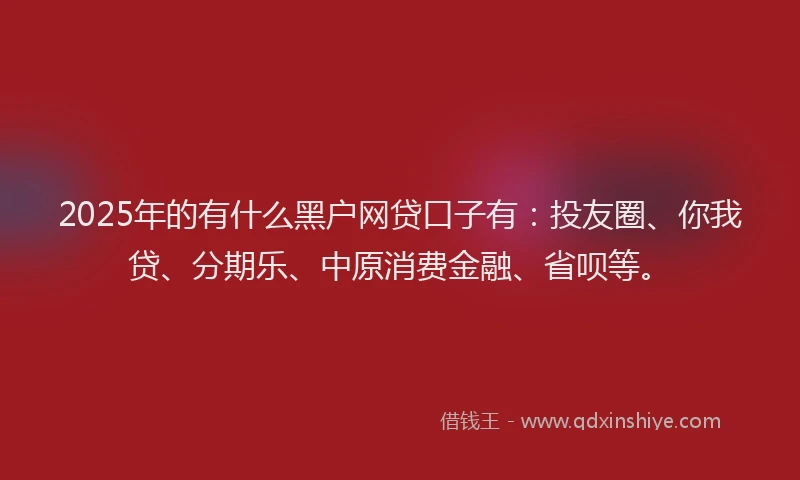 2025年的有什么黑户网贷口子有：投友圈、你我贷、分期乐、中原消费金融、省呗等。