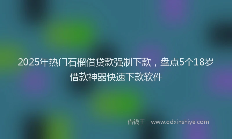 2025年热门石榴借贷款强制下款，盘点5个18岁借款神器快速下款软件