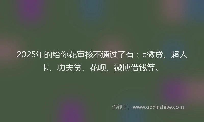 2025年的给你花审核不通过了有：e微贷、超人卡、功夫贷、花呗、微博借钱等。