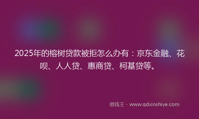 2025年的榕树贷款被拒怎么办有：京东金融、花呗、人人贷、惠商贷、柯基贷等。