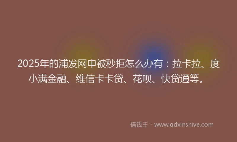 2025年的浦发网申被秒拒怎么办有：拉卡拉、度小满金融、维信卡卡贷、花呗、快贷通等。