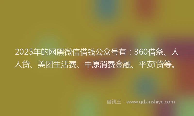 2025年的网黑微信借钱公众号有：360借条、人人贷、美团生活费、中原消费金融、平安i贷等。