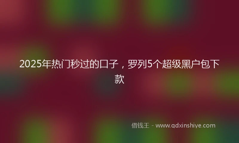 2025年热门秒过的口子，罗列5个超级黑户包下款