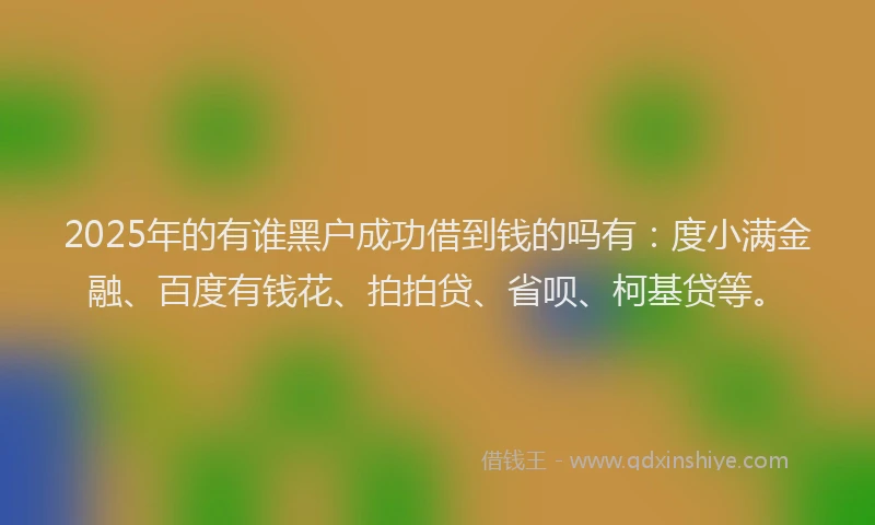 2025年的有谁黑户成功借到钱的吗有：度小满金融、百度有钱花、拍拍贷、省呗、柯基贷等。