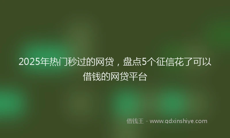 2025年热门秒过的网贷，盘点5个征信花了可以借钱的网贷平台
