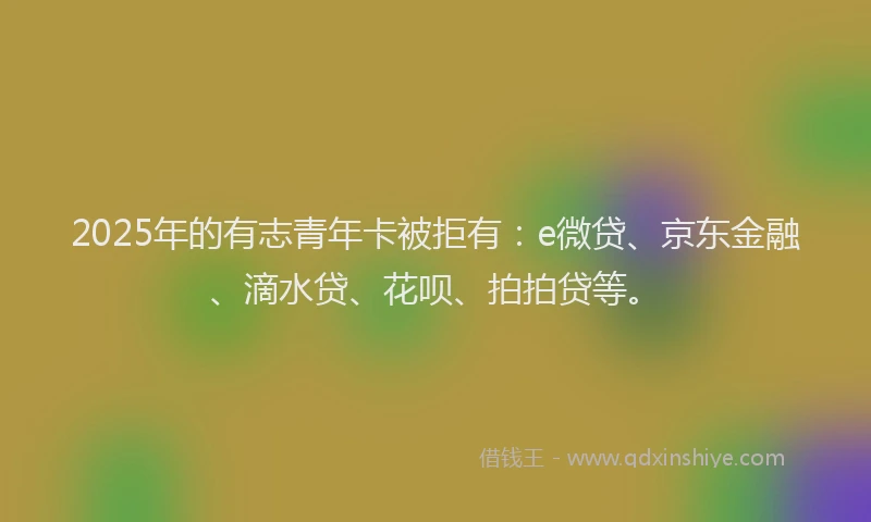 2025年的有志青年卡被拒有：e微贷、京东金融、滴水贷、花呗、拍拍贷等。