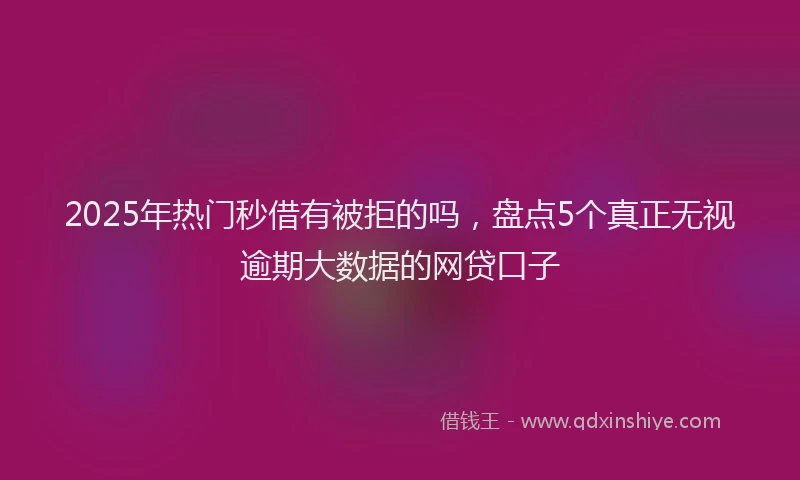 2025年热门秒借有被拒的吗，盘点5个真正无视逾期大数据的网贷口子