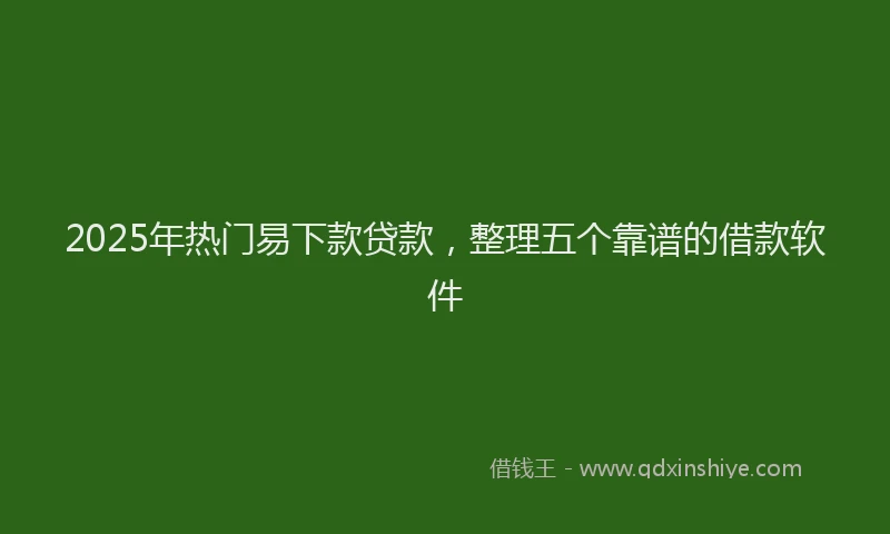 2025年热门易下款贷款，整理五个靠谱的借款软件