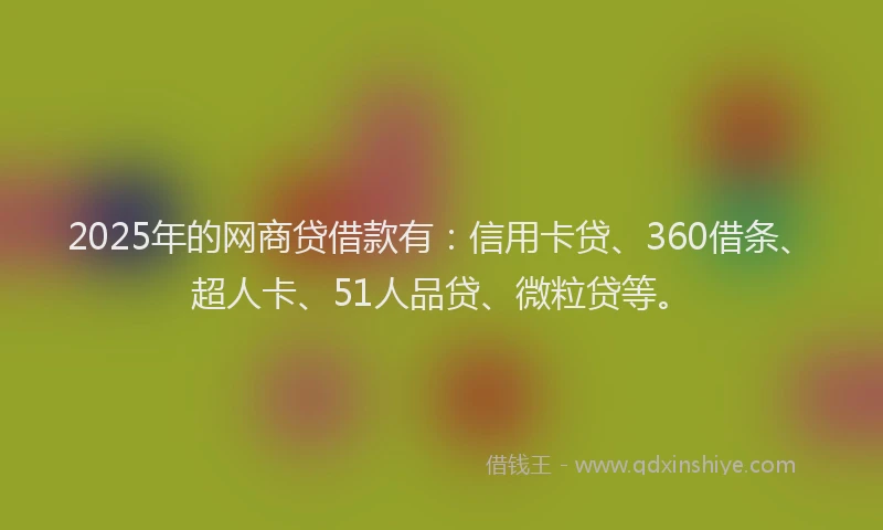 2025年的网商贷借款有：信用卡贷、360借条、超人卡、51人品贷、微粒贷等。