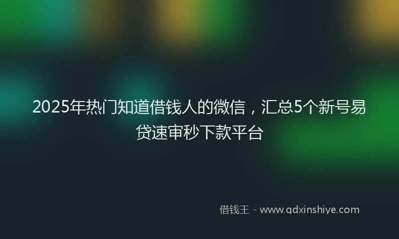 2025年热门知道借钱人的微信，汇总5个新号易贷速审秒下款平台