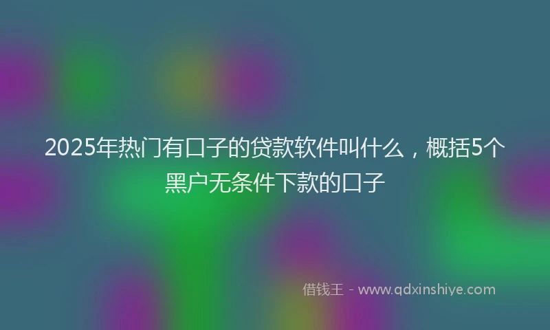 2025年热门有口子的贷款软件叫什么，概括5个黑户无条件下款的口子