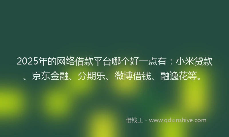 2025年的网络借款平台哪个好一点有：小米贷款、京东金融、分期乐、微博借钱、融逸花等。