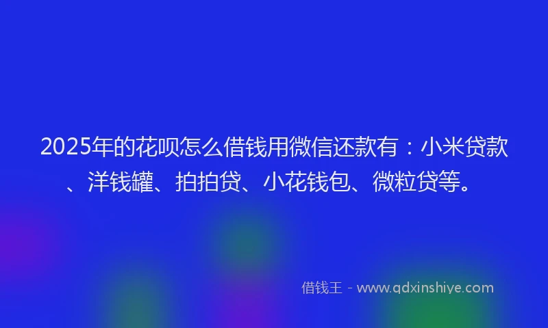2025年的花呗怎么借钱用微信还款有：小米贷款、洋钱罐、拍拍贷、小花钱包、微粒贷等。