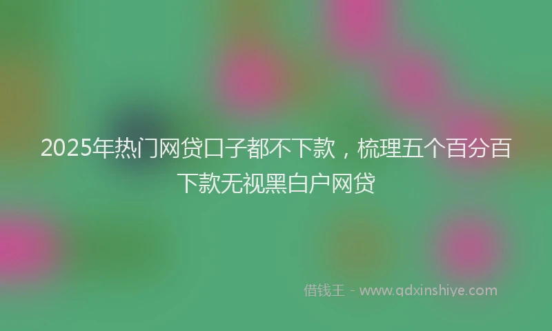 2025年热门网贷口子都不下款，梳理五个百分百下款无视黑白户网贷