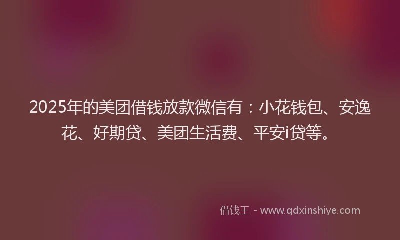 2025年的美团借钱放款微信有：小花钱包、安逸花、好期贷、美团生活费、平安i贷等。