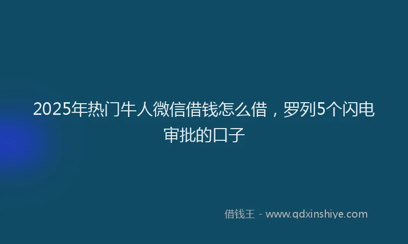 2025年热门牛人微信借钱怎么借，罗列5个闪电审批的口子