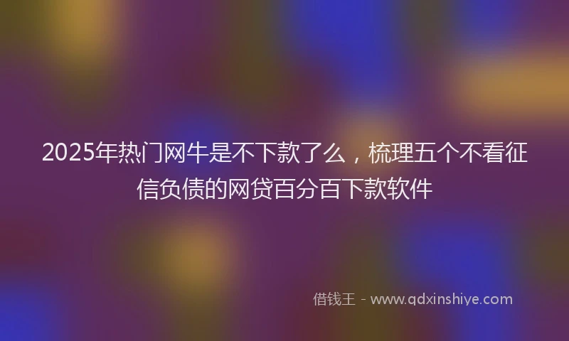 2025年热门网牛是不下款了么，梳理五个不看征信负债的网贷百分百下款软件