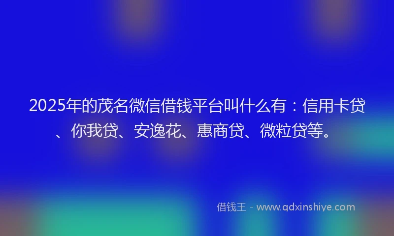 2025年的茂名微信借钱平台叫什么有：信用卡贷、你我贷、安逸花、惠商贷、微粒贷等。