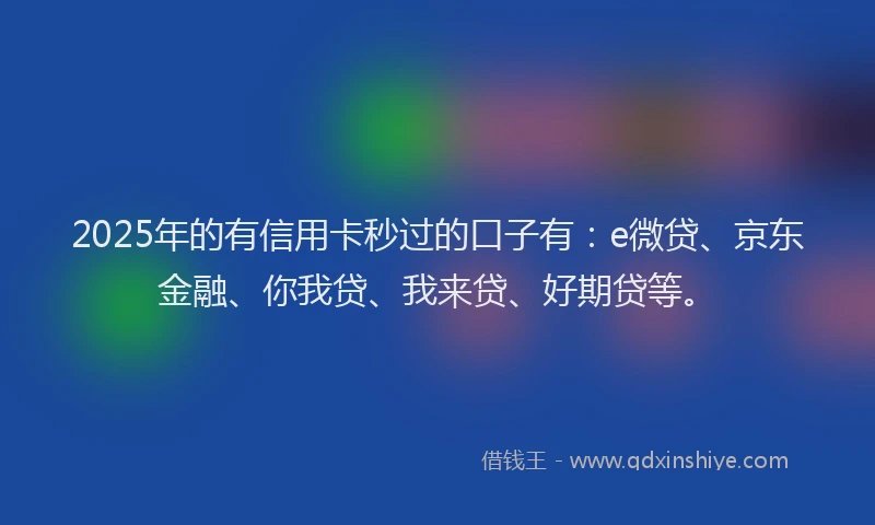 2025年的有信用卡秒过的口子有：e微贷、京东金融、你我贷、我来贷、好期贷等。