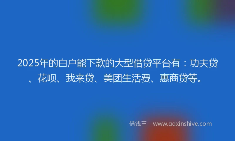 2025年的白户能下款的大型借贷平台有：功夫贷、花呗、我来贷、美团生活费、惠商贷等。