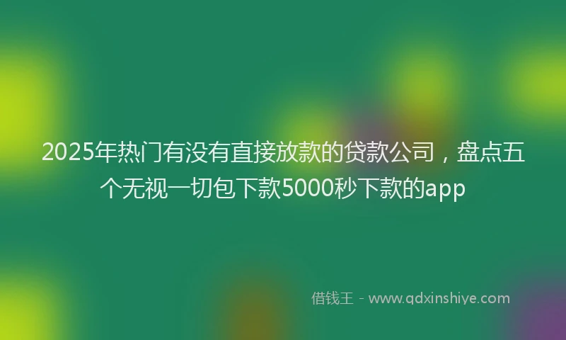 2025年热门有没有直接放款的贷款公司，盘点五个无视一切包下款5000秒下款的app