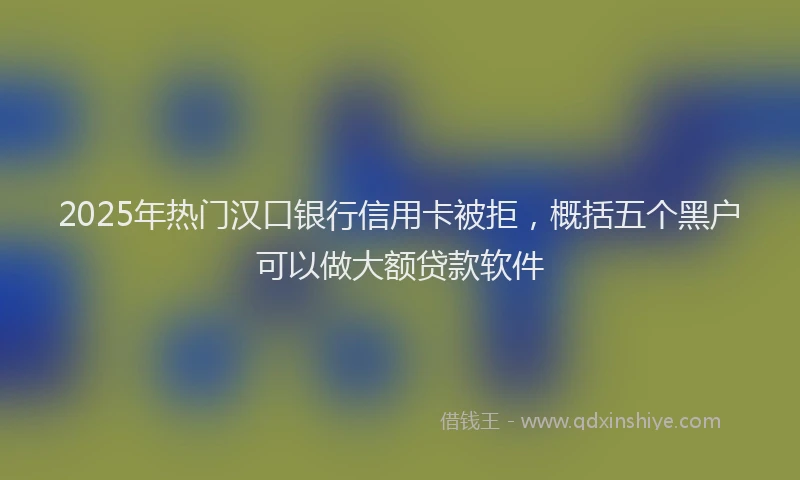2025年热门汉口银行信用卡被拒，概括五个黑户可以做大额贷款软件