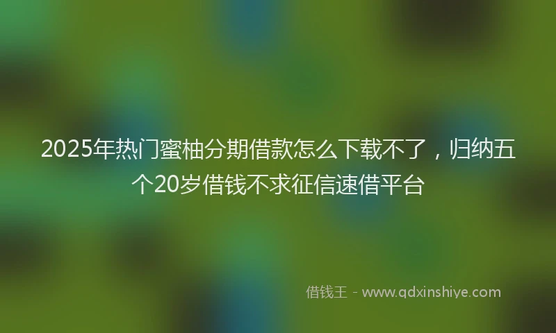 2025年热门蜜柚分期借款怎么下载不了，归纳五个20岁借钱不求征信速借平台
