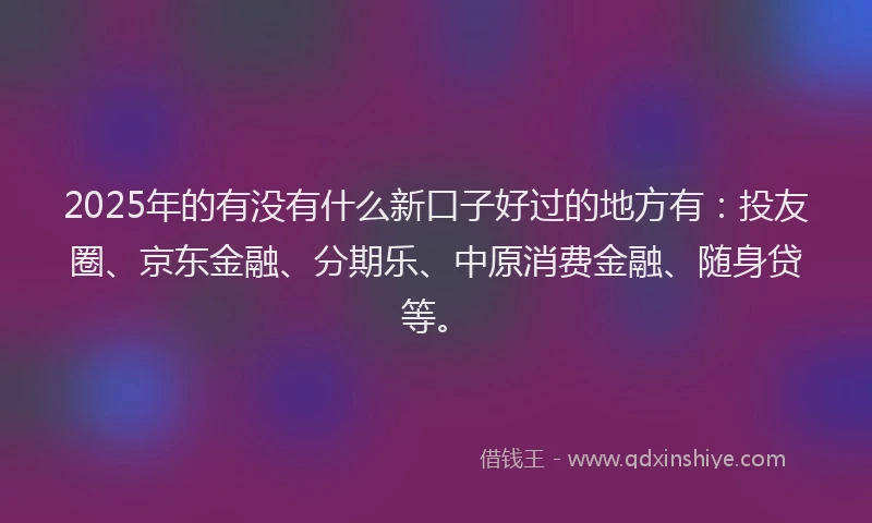 2025年的有没有什么新口子好过的地方有：投友圈、京东金融、分期乐、中原消费金融、随身贷等。