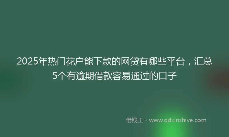 2025年热门花户能下款的网贷有哪些平台，汇总5个有逾期借款容易通过的口子