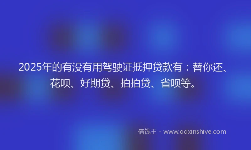 2025年的有没有用驾驶证抵押贷款有：替你还、花呗、好期贷、拍拍贷、省呗等。