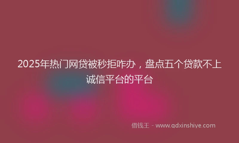 2025年热门网贷被秒拒咋办，盘点五个贷款不上诚信平台的平台