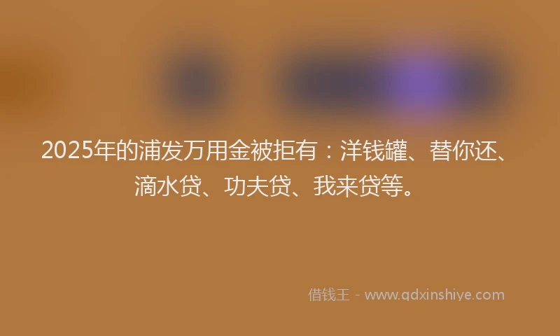 2025年的浦发万用金被拒有：洋钱罐、替你还、滴水贷、功夫贷、我来贷等。