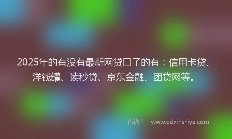 2025年的有没有最新网贷口子的有：信用卡贷、洋钱罐、读秒贷、京东金融、团贷网等。