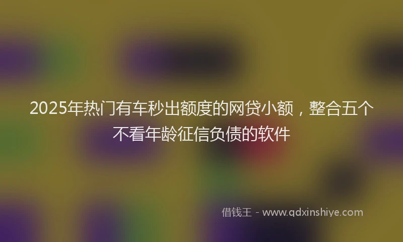2025年热门有车秒出额度的网贷小额，整合五个不看年龄征信负债的软件