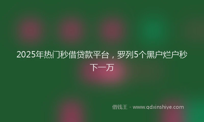 2025年热门秒借贷款平台，罗列5个黑户烂户秒下一万