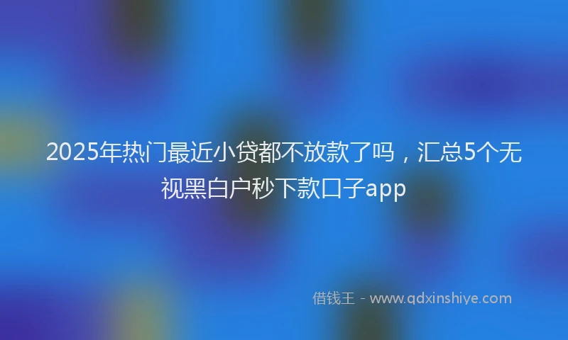 2025年热门最近小贷都不放款了吗，汇总5个无视黑白户秒下款口子app