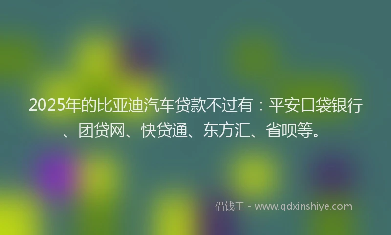 2025年的比亚迪汽车贷款不过有：平安口袋银行、团贷网、快贷通、东方汇、省呗等。