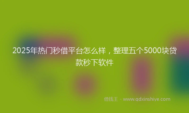 2025年热门秒借平台怎么样，整理五个5000块贷款秒下软件