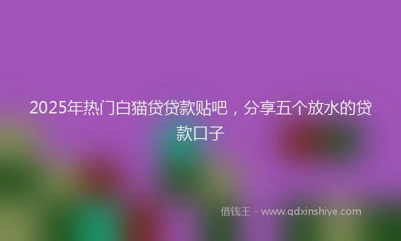2025年热门白猫贷贷款贴吧，分享五个放水的贷款口子