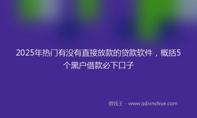 2025年热门有没有直接放款的贷款软件，概括5个黑户借款必下口子