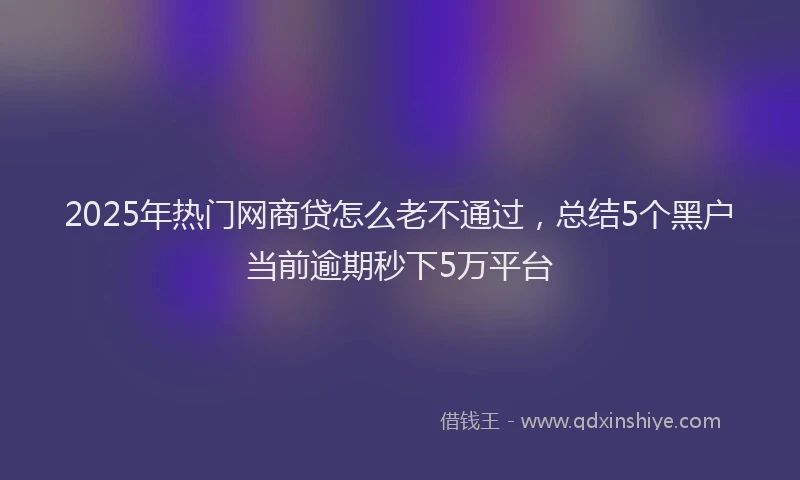 2025年热门网商贷怎么老不通过，总结5个黑户当前逾期秒下5万平台