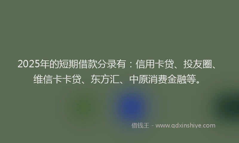 2025年的短期借款分录有：信用卡贷、投友圈、维信卡卡贷、东方汇、中原消费金融等。