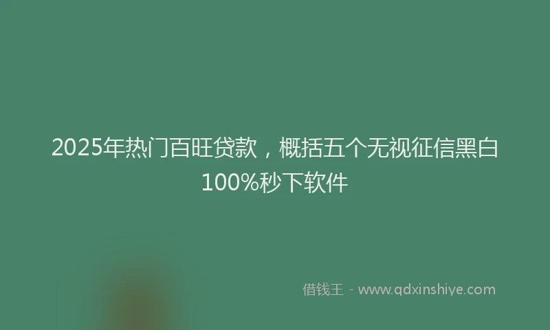 2025年热门百旺贷款，概括五个无视征信黑白100%秒下软件