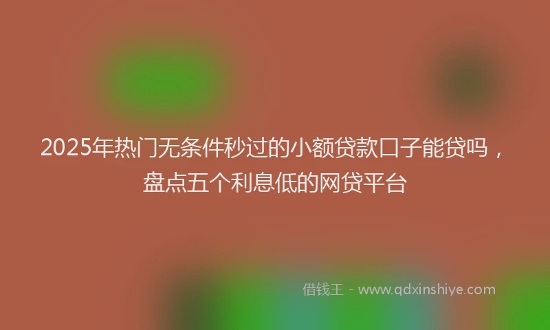 2025年热门无条件秒过的小额贷款口子能贷吗，盘点五个利息低的网贷平台