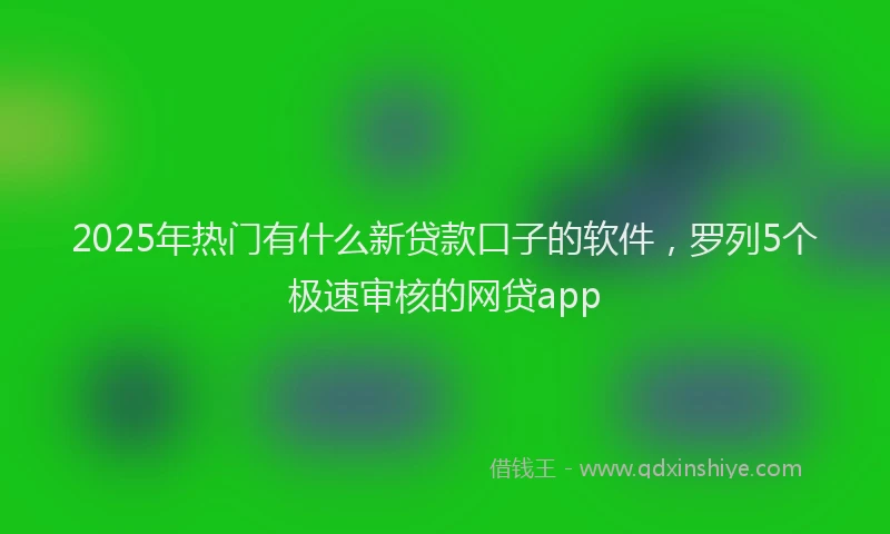 2025年热门有什么新贷款口子的软件，罗列5个极速审核的网贷app